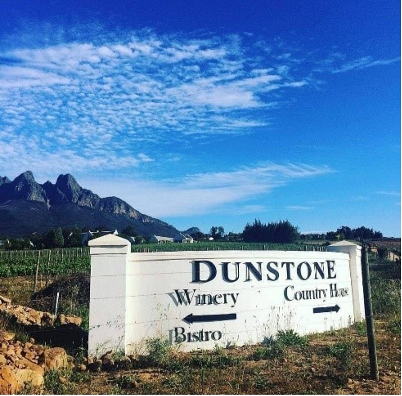 FIVE WELLINGTON WINE FARMS TO EXPLORE DURING SUMMER Discover Paarl