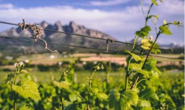 TAKE A BREAK IN WELLINGTON