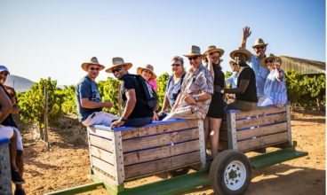 THE PINOTAGE JOURNEY