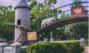 WHERE DO YOU FIND CHEESE, WINE AND FURRY MASCOTS?