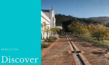 SPRING BECKONS IN PAARL