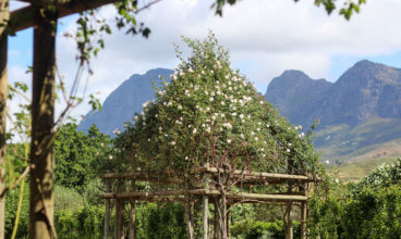 BEAUTIFUL BABYLONSTOREN