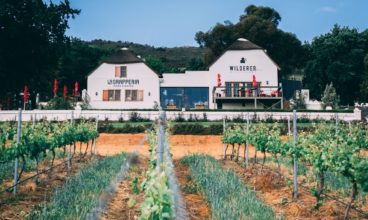 YOUR NEIGHBOURHOOD GUIDE TO PAARL THIS SUMMER