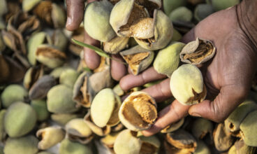 WORKSHOPS AT BABYLONSTOREN DURING FEBRUARY