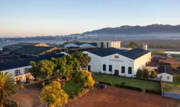 FEBRUARY AT PERDEBERG CELLAR