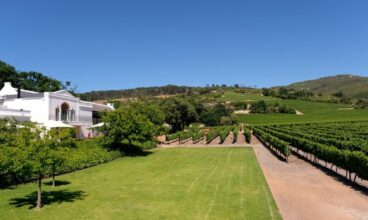 LABORIE ESTATE IS QUINTESSENTIAL TO PERFECTING YOUR TRIP TO PAARL!