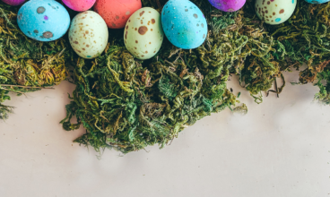 EASTER ACTIVITIES IN PAARL