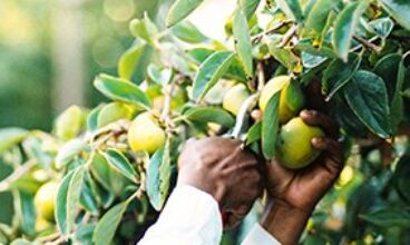 BABYLONSTOREN JULY WORKSHOPS